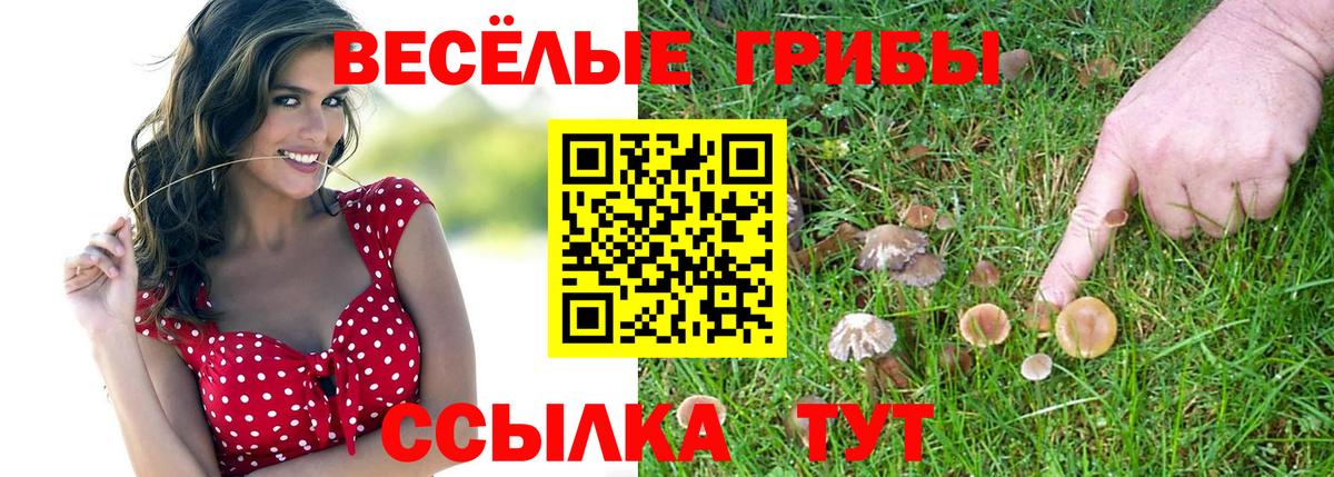 Новороссийск  Псилоцибиновые грибы MAGIC MUSHROOMS  Вход с VPN  Псилоцибиновые грибы Psilocybe 